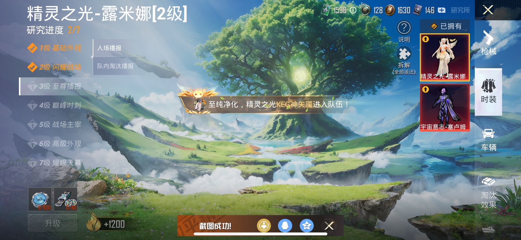1938809--不可二次 苹果Q-26335热力值【红装素材号 露米娜 塞卢姆 木乃伊 2红装2粉3枪】 4王牌印记 历史超级王牌14星 45套装 79枪皮 【2神装】 精灵之光-露米娜 (2级)