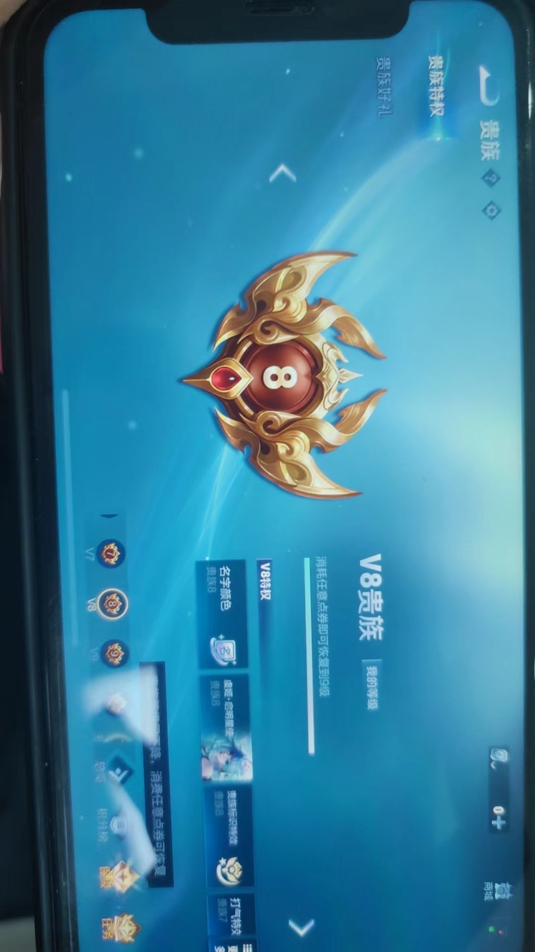 WZKG3132796王者荣耀账号详情图5 WZKG3132796王者荣耀账号详情图5