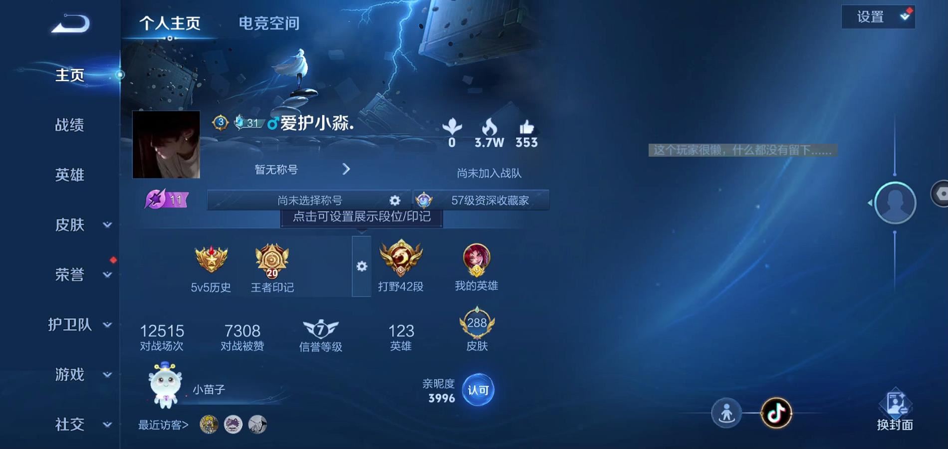 WZQM3168625王者荣耀账号详情图3 WZQM3168625王者荣耀账号详情图3