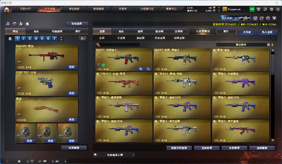 CFQM313019穿越火线账号详情图5 CFQM313019穿越火线账号详情图5