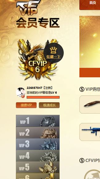 CFQM313021穿越火线账号详情图22 CFQM313021穿越火线账号详情图22