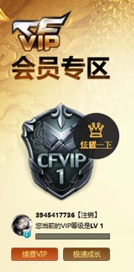 CFQM313024穿越火线账号详情图17 CFQM313024穿越火线账号详情图17