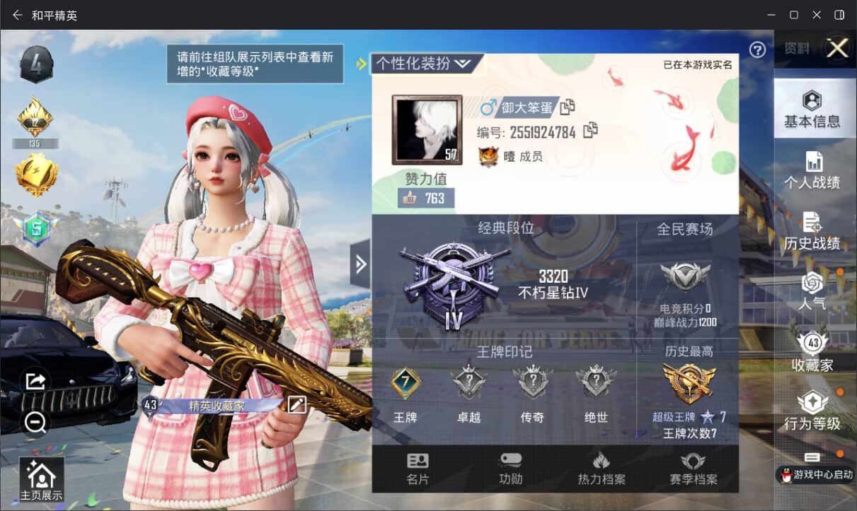 HPQM3259720和平精英账号详情图4