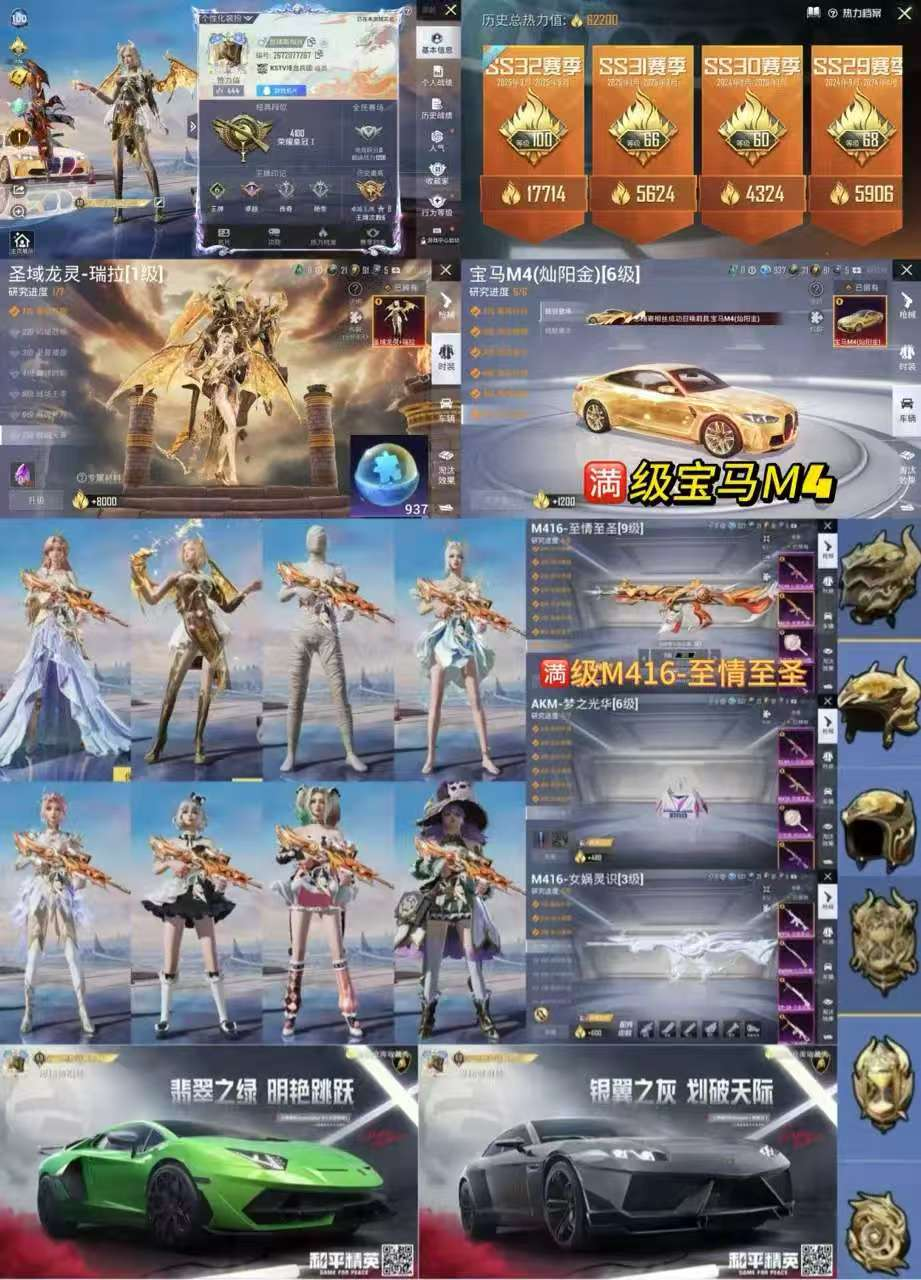 dzx【满级升级宝马M4➕1级瑞拉/满级至...