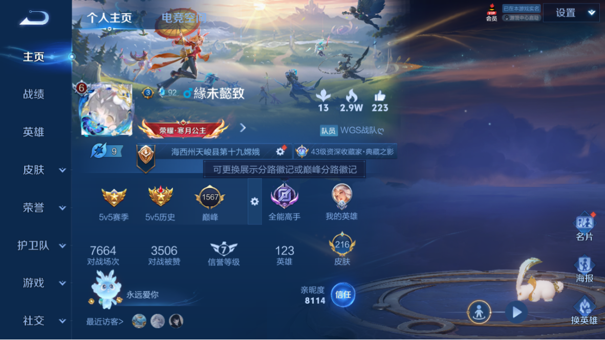 WZCMW3198393王者荣耀账号详情图4