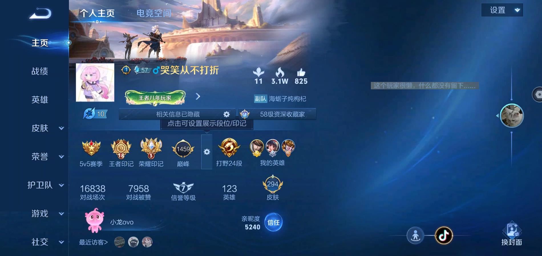 WZQM3163317王者荣耀账号详情图3 WZQM3163317王者荣耀账号详情图3