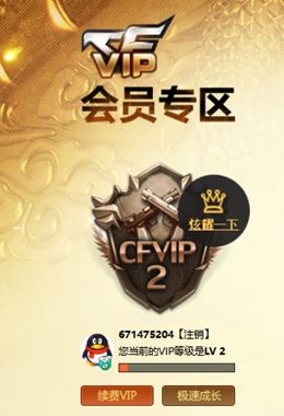 CFQM315566穿越火线账号详情图31 CFQM315566穿越火线账号详情图31