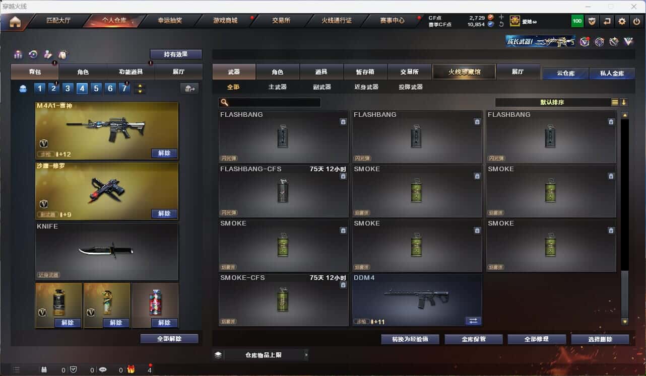 CFQM314995穿越火线账号详情图13 CFQM314995穿越火线账号详情图13