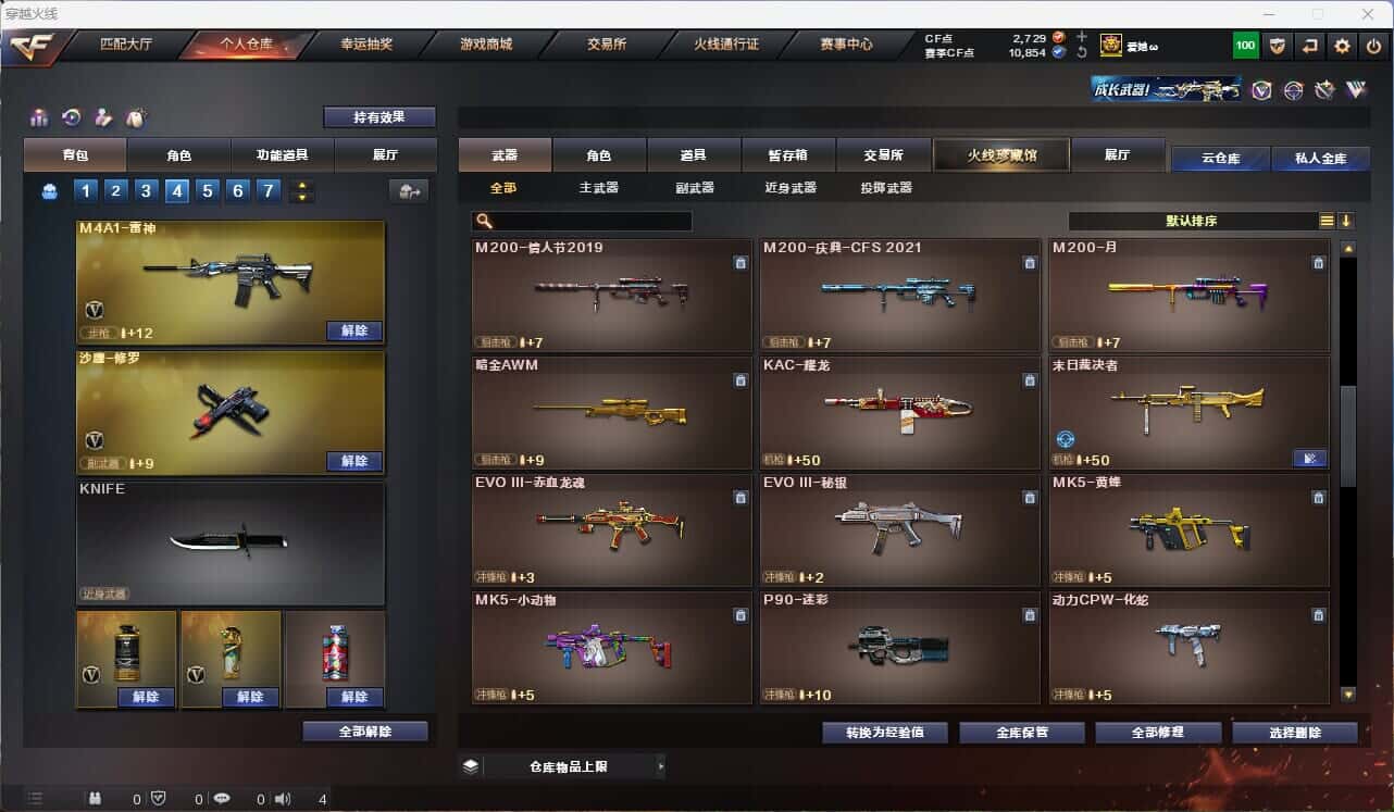 CFQM314995穿越火线账号详情图21 CFQM314995穿越火线账号详情图21