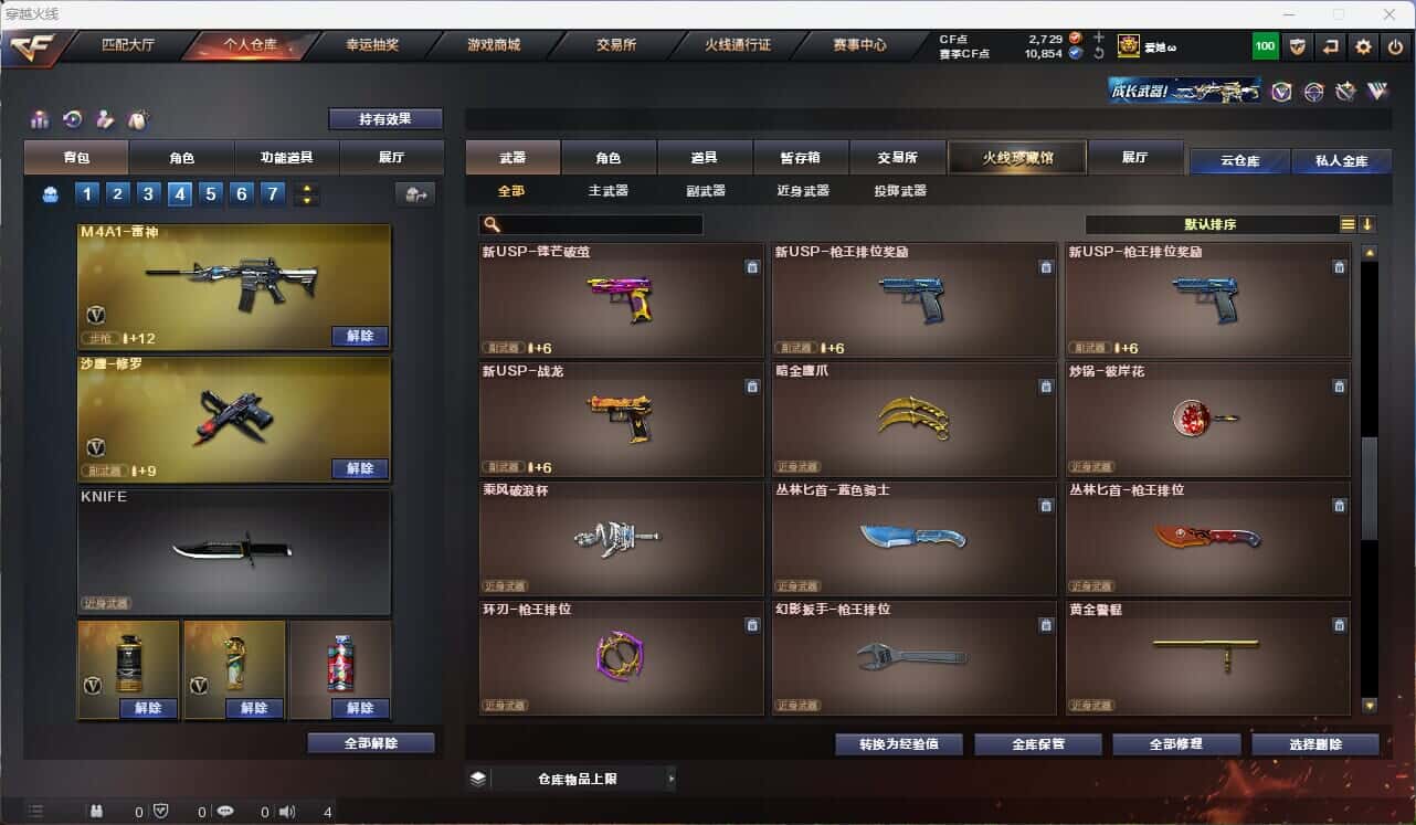 CFQM314995穿越火线账号详情图18 CFQM314995穿越火线账号详情图18