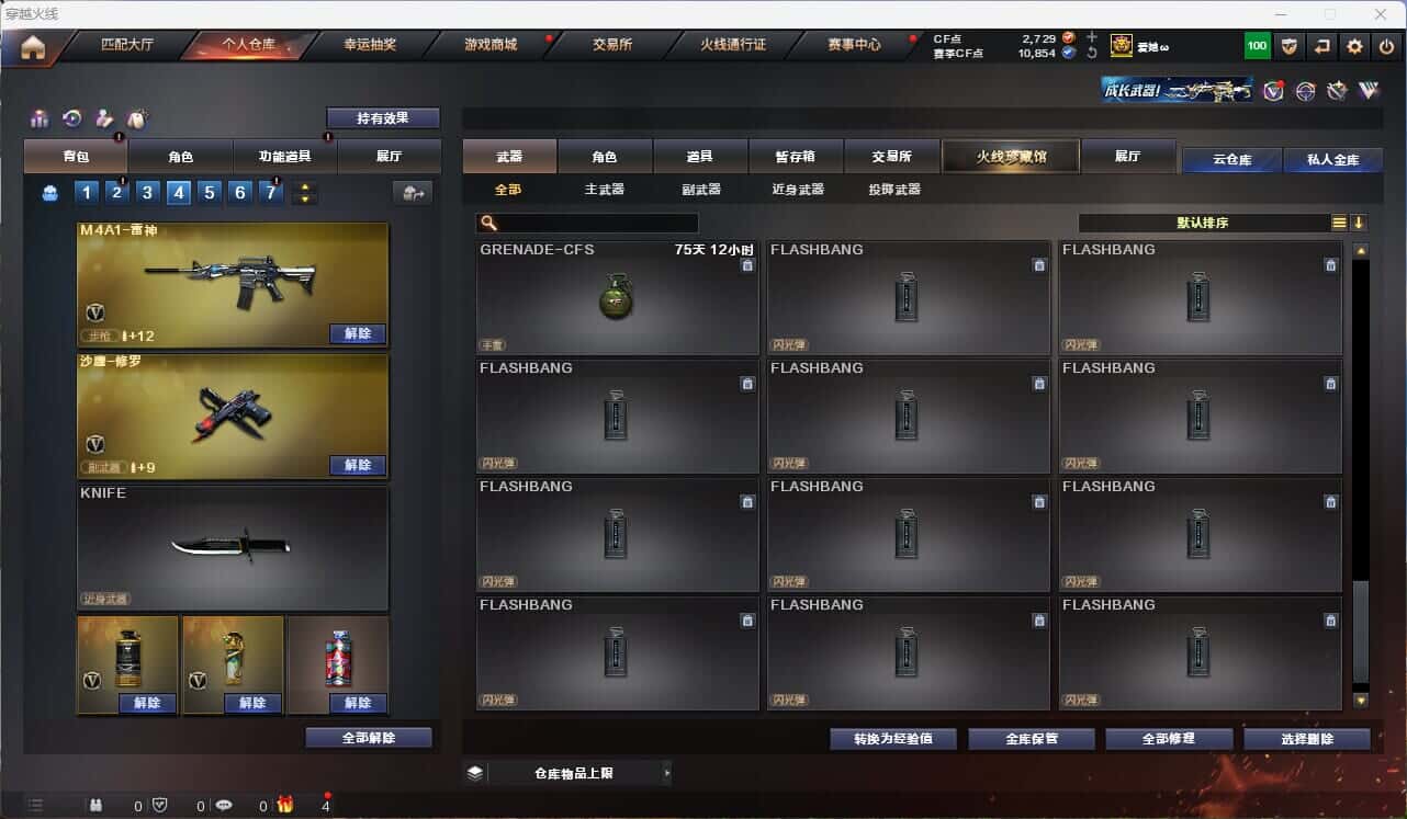 CFQM314995穿越火线账号详情图12 CFQM314995穿越火线账号详情图12