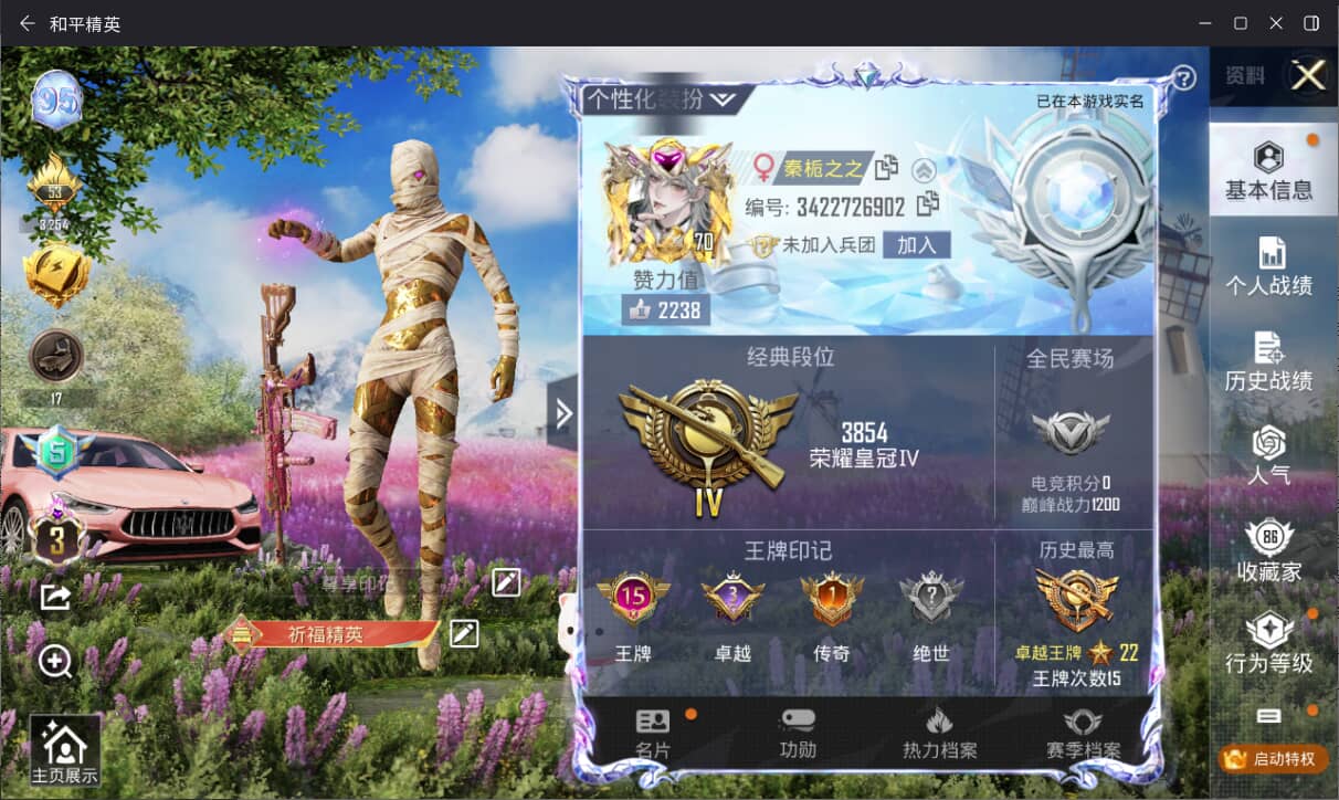 HPQM3266509和平精英账号详情图2