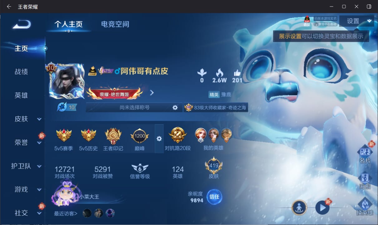 WZQM3170352王者荣耀账号详情图2 WZQM3170352王者荣耀账号详情图2