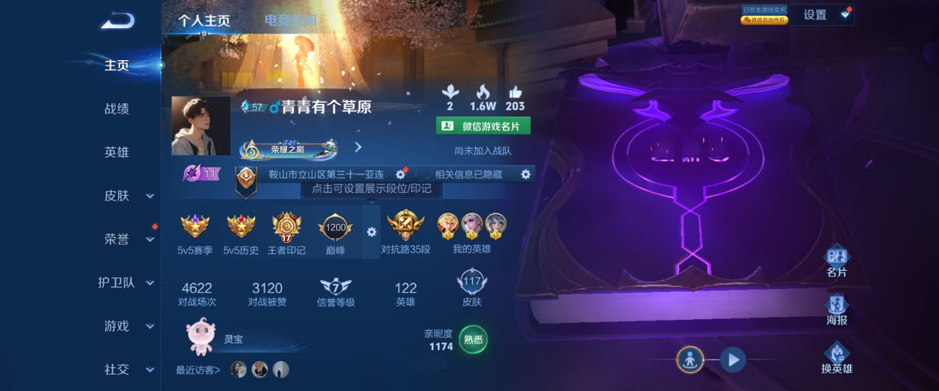 WZHJJ3217905王者荣耀账号详情图2
