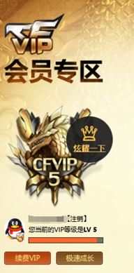 CFQM316265穿越火线账号详情图4 CFQM316265穿越火线账号详情图4