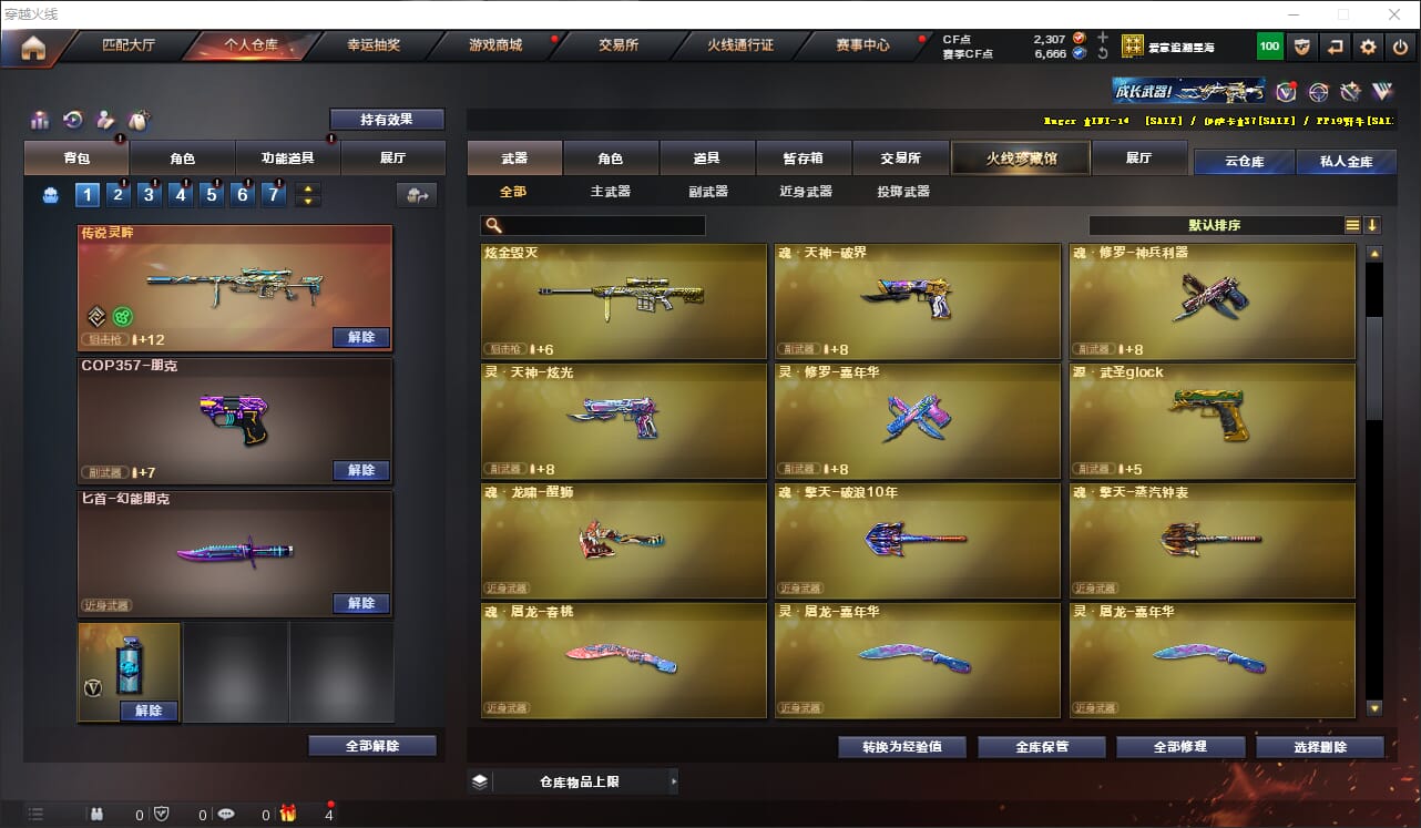 CFQM316577穿越火线账号详情图13 CFQM316577穿越火线账号详情图13