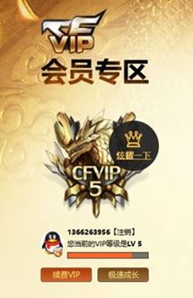 CFQM316727穿越火线账号详情图57 CFQM316727穿越火线账号详情图57
