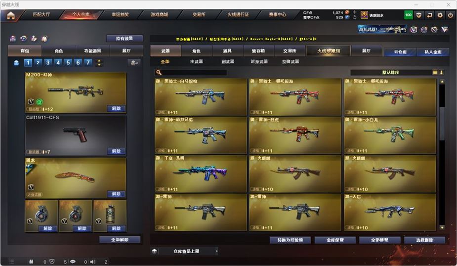 CFQM316744穿越火线账号详情图12 CFQM316744穿越火线账号详情图12
