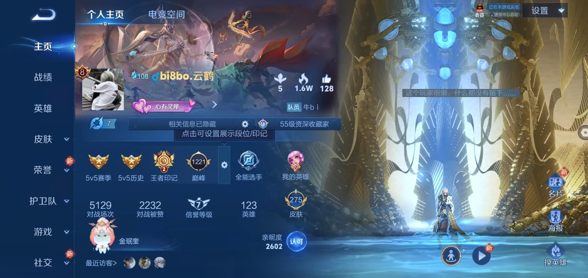 WZQM3177032王者荣耀账号详情图4 WZQM3177032王者荣耀账号详情图4