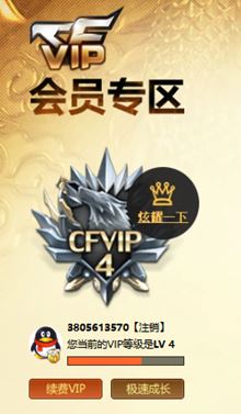CFQM317221穿越火线账号详情图35