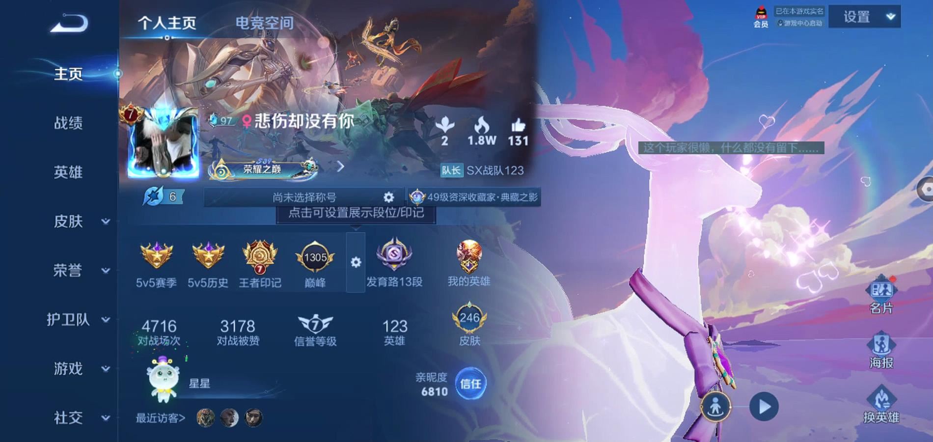 WZQM3178018王者荣耀账号详情图3 WZQM3178018王者荣耀账号详情图3