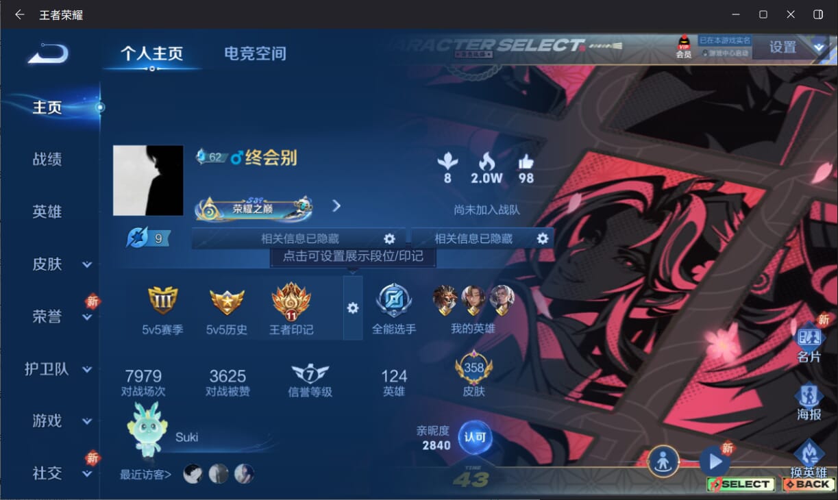 WZQM3178585王者荣耀账号详情图2 WZQM3178585王者荣耀账号详情图2