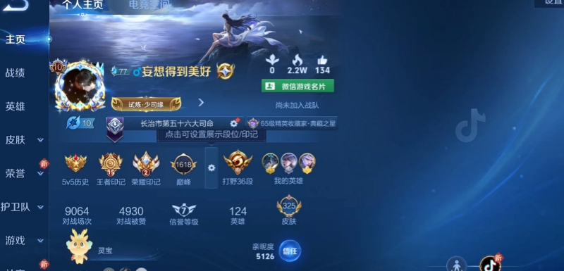 WZQM3178940王者荣耀账号详情图3 WZQM3178940王者荣耀账号详情图3