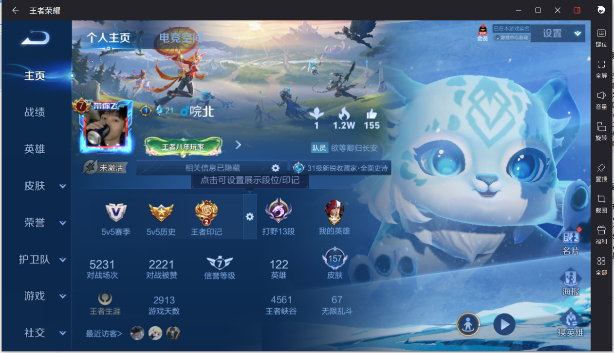 WZCMW3198284王者荣耀账号详情图5