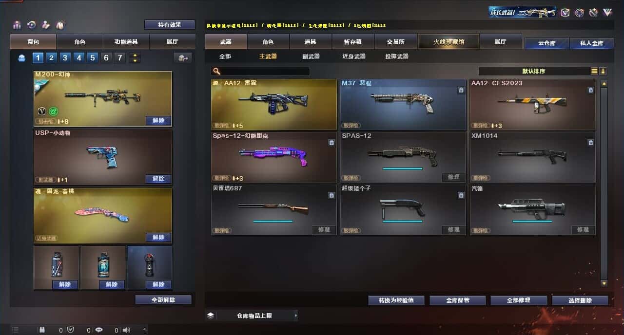 CFQM317849穿越火线账号详情图14
