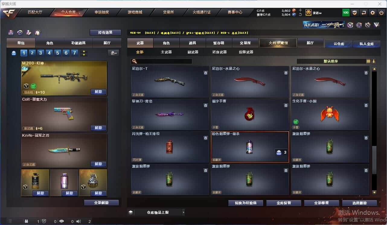 CFQM318055穿越火线账号详情图17 CFQM318055穿越火线账号详情图17