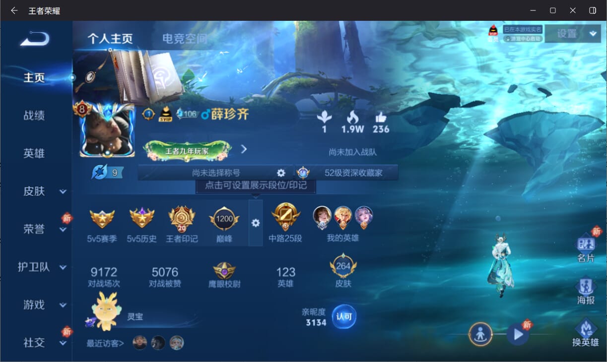 WZQM3183138王者荣耀账号详情图2