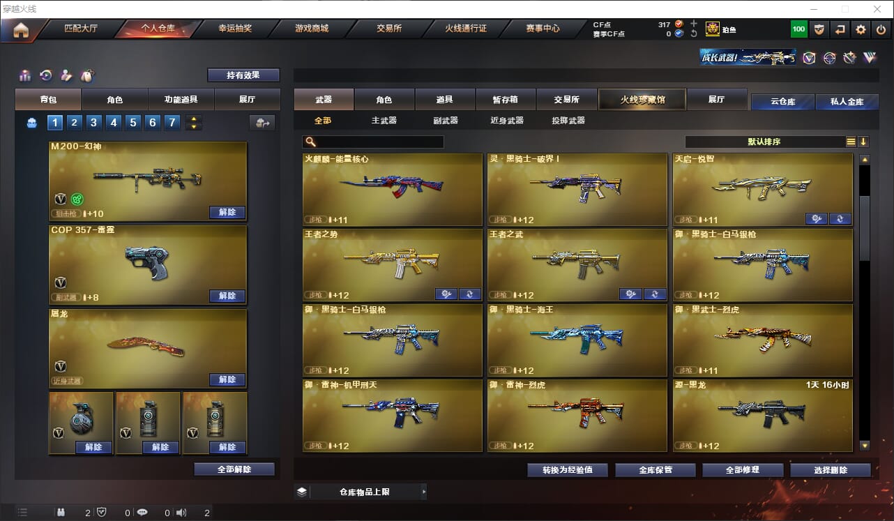 CFQM318208穿越火线账号详情图12 CFQM318208穿越火线账号详情图12