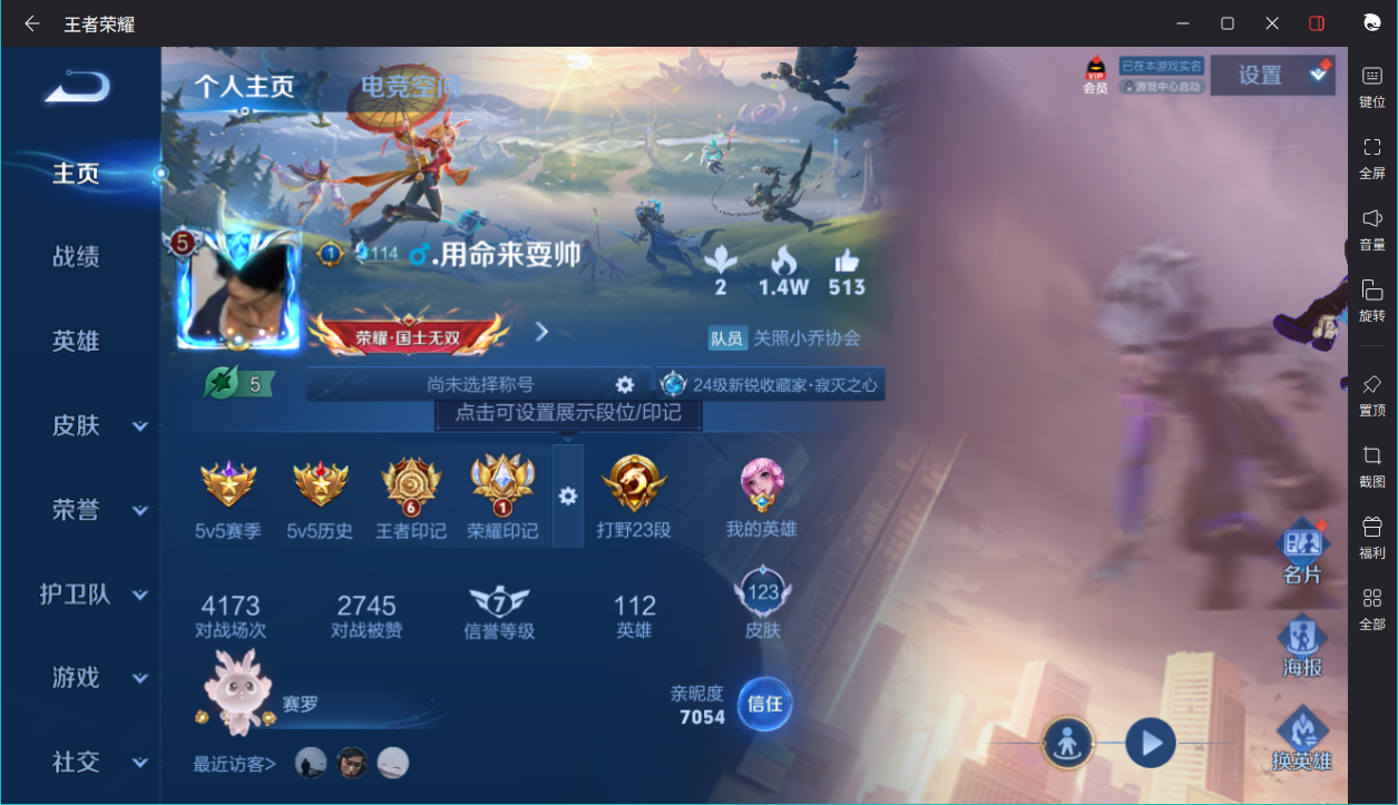 WZCMW3198269王者荣耀账号详情图9