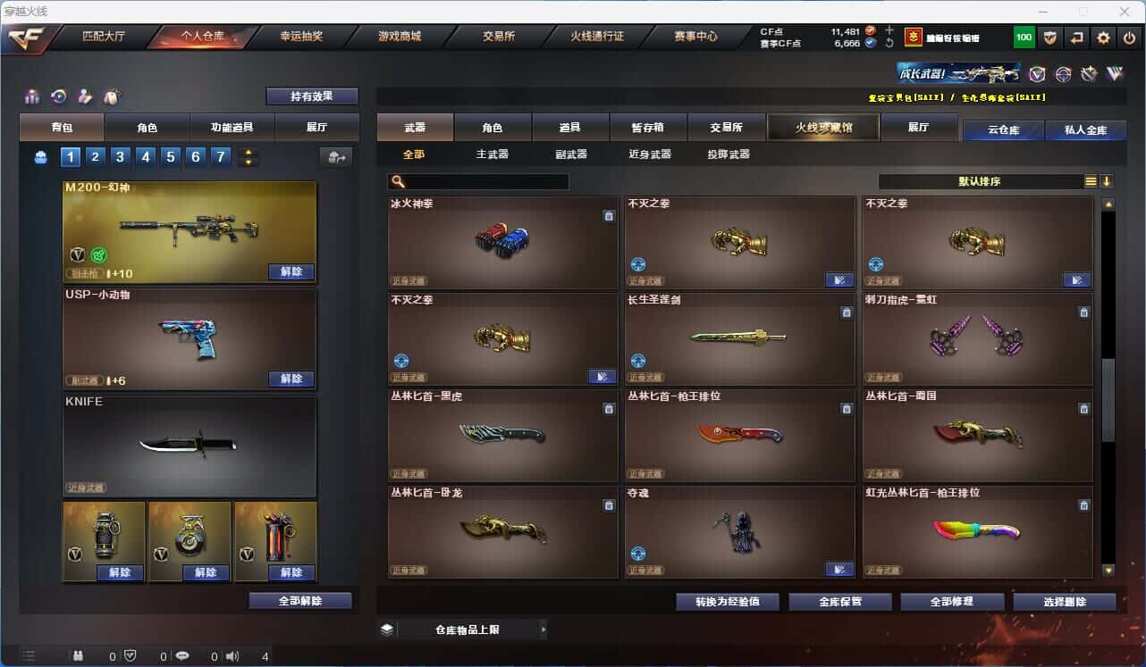 CFQM318535穿越火线账号详情图27 CFQM318535穿越火线账号详情图27