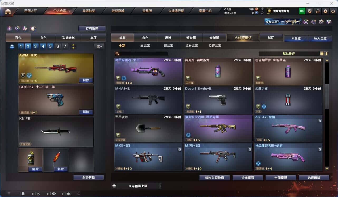CFQM318895穿越火线账号详情图6 CFQM318895穿越火线账号详情图6