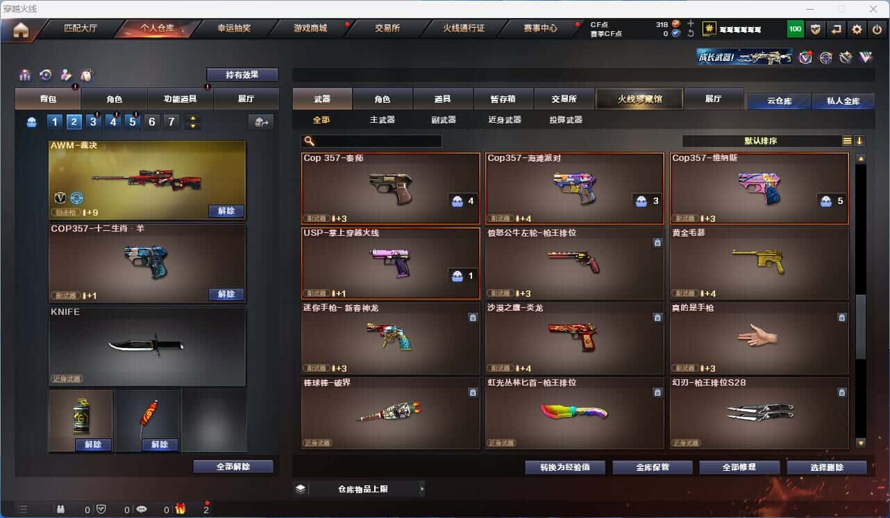 CFQM318895穿越火线账号详情图8 CFQM318895穿越火线账号详情图8