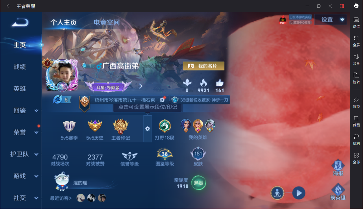 WZCMW3198436王者荣耀账号详情图9 WZCMW3198436王者荣耀账号详情图9