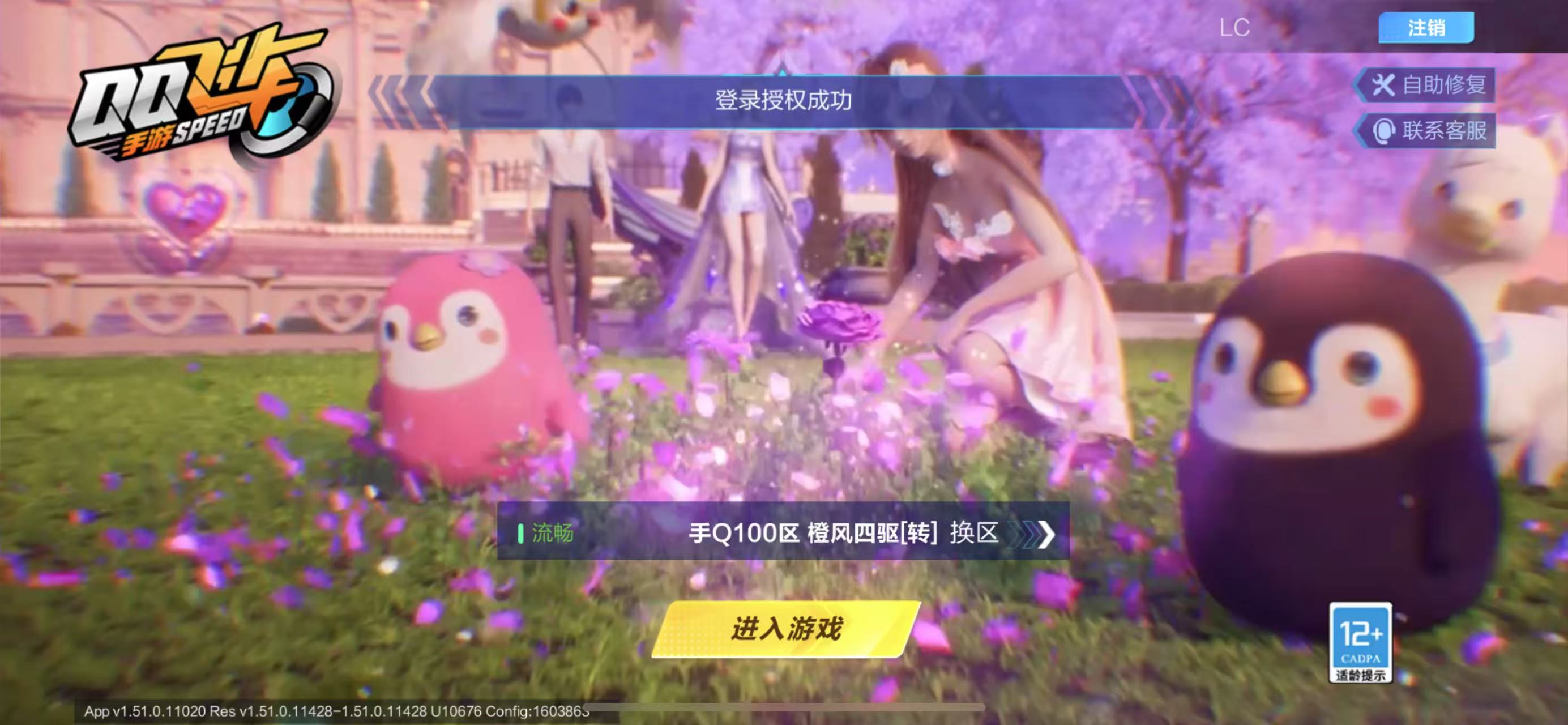 FCSCMW33724QQ飞车手游账号详情图3