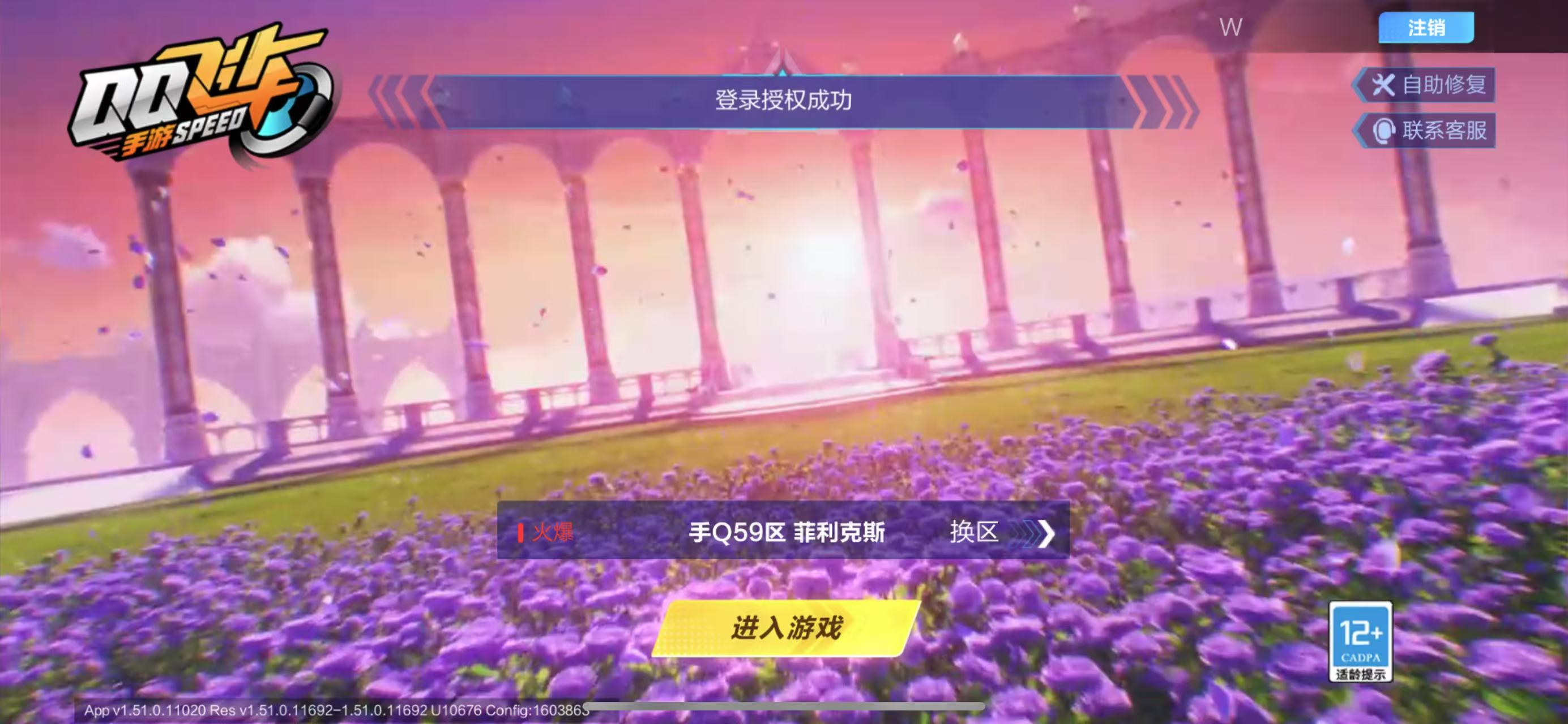 QQ飞车手游账号苹果QQ【云逍/铠甲战士/800钻】实名: 可修改 永久T车: 云逍 宠物: 铠甲战士
