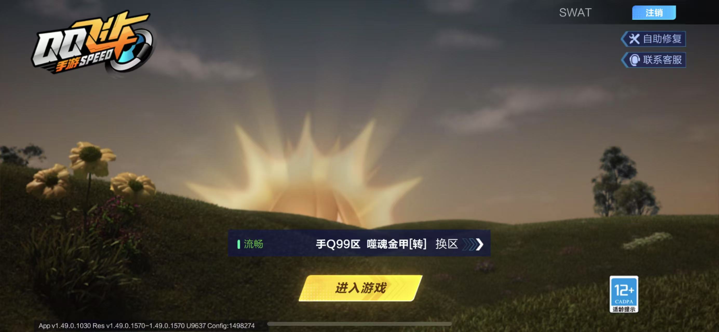 QQ飞车手游账号苹果QQ【3联赛】实名: 可修改 宠物: 无常小黑