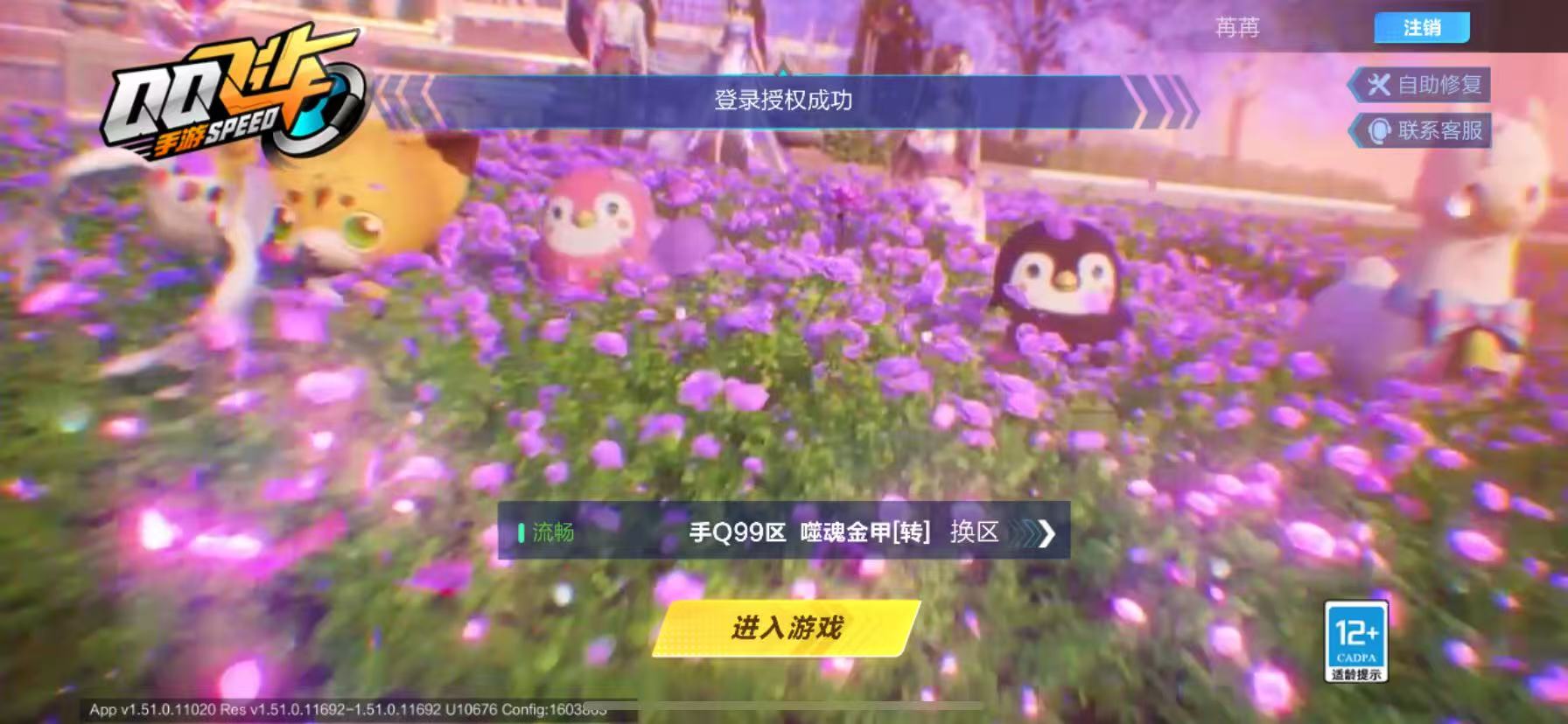 FCSCMW34034QQ飞车手游账号详情图9
