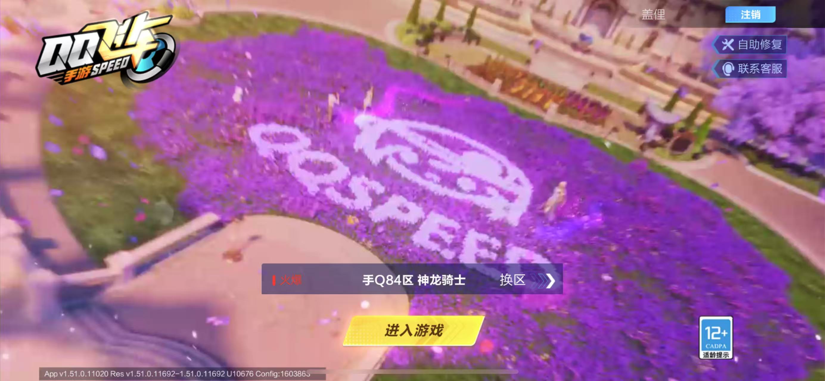 QQ飞车手游账号苹果QQ【序列未来/天行者/魔王天狮】实名: 可修改 永久T车: 序列未来LYR 宠物: 魔王天狮