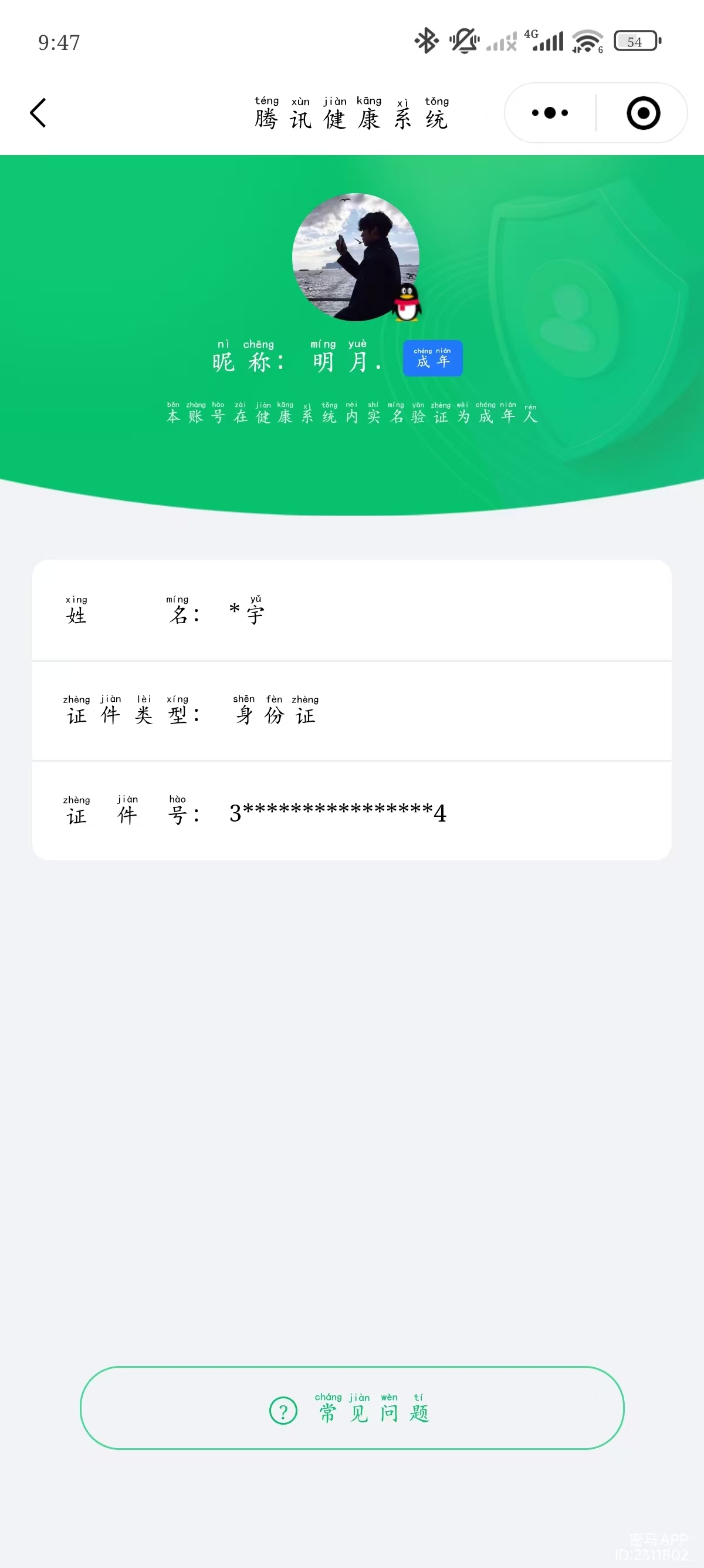 WZKM490773王者荣耀账号详情图12