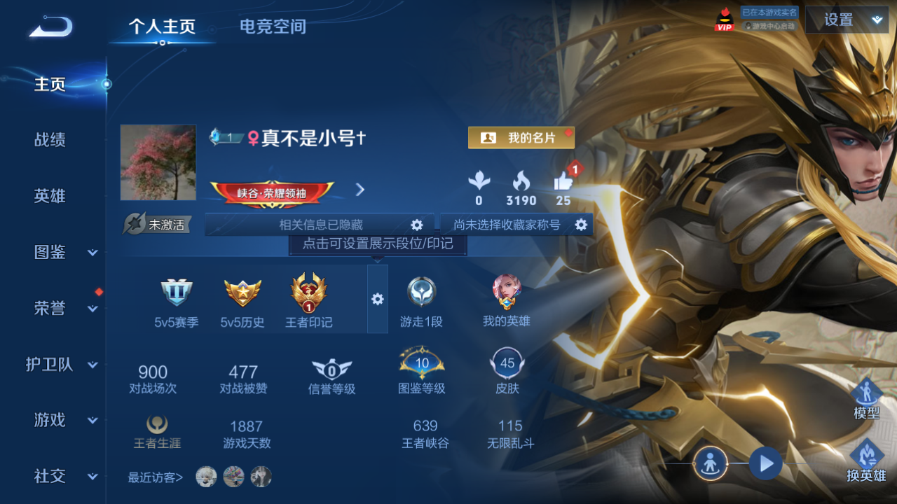WZHJJ3218737王者荣耀账号详情图2 WZHJJ3218737王者荣耀账号详情图2