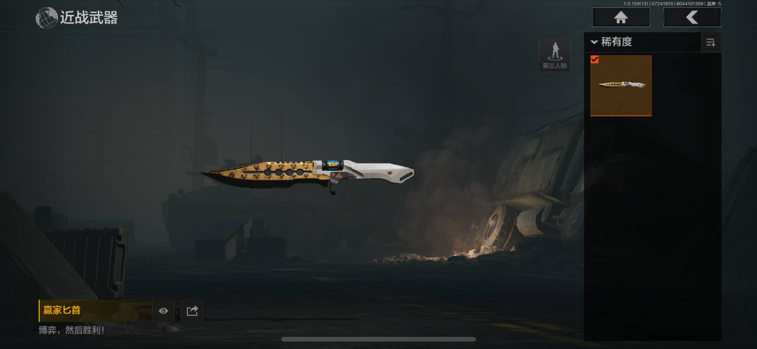 FY5244,总资产55.3m,赢家匕首,...