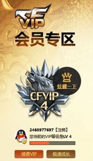 CFQM324871穿越火线账号详情图28