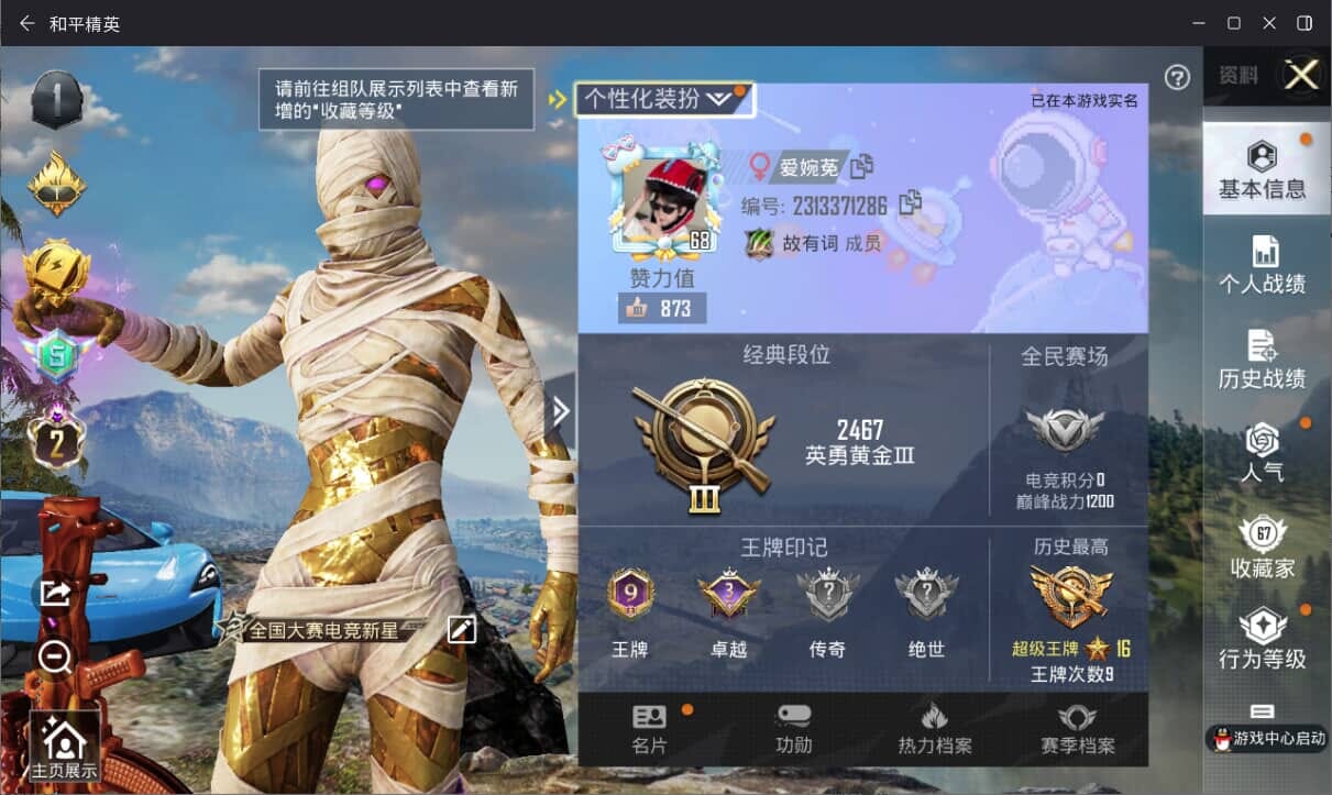 HPQM3313585和平精英账号详情图3 HPQM3313585和平精英账号详情图3