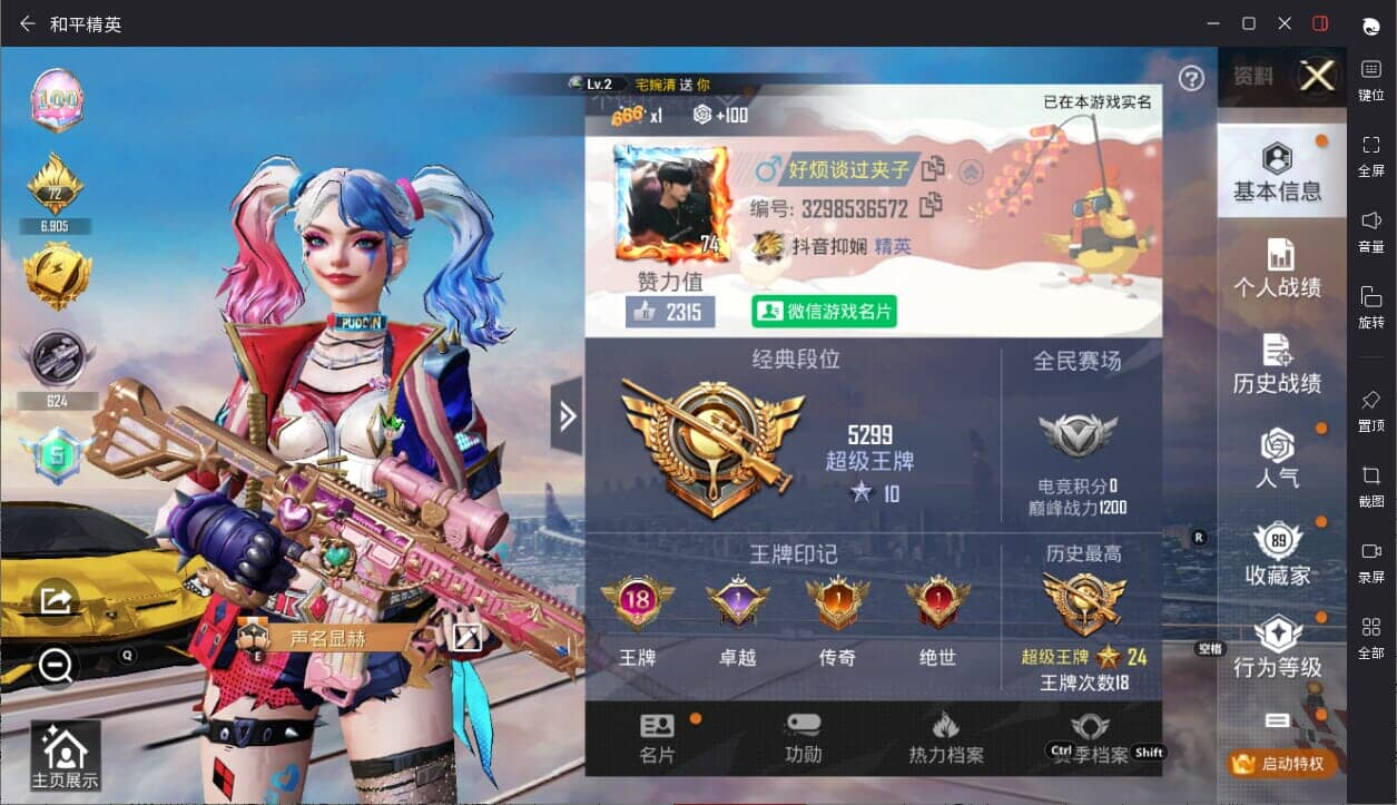 大图