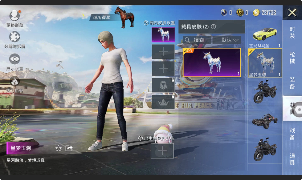 HPHMY3315352和平精英账号详情图22 HPHMY3315352和平精英账号详情图22