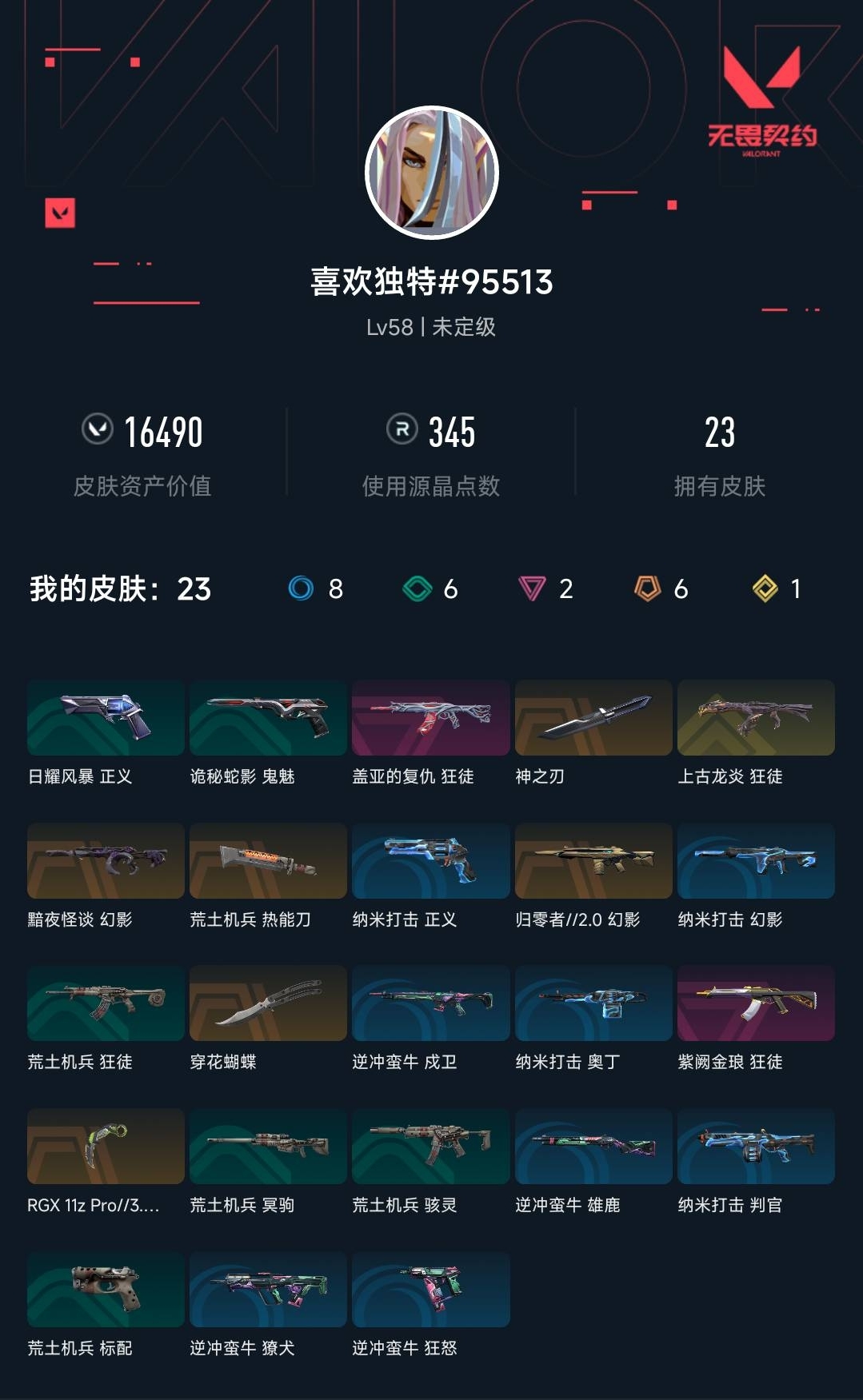 WWQYYH312299无畏契约账号详情图3 WWQYYH312299无畏契约账号详情图3